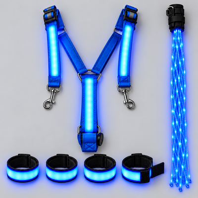 Horse LED Lights
